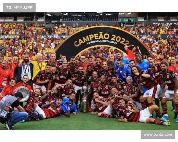 南美解放者杯梅尔加逆转取胜